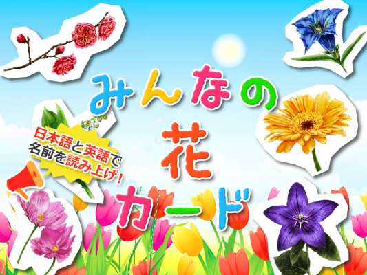 知育カードシリーズ「みんなの花カード」リリース～四季折々のお気に入りの花を見つけよう！～
