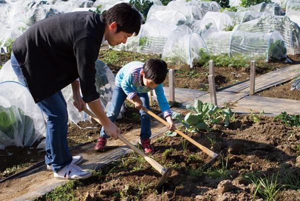 子育て世代の食育を応援！市民農園最大手のアグリメディアが 子供と野菜作りを始められる新サービス『こども畑』リリース！