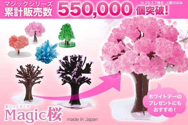 ホワイトデーには桜のメッセージでお返し！ マジックシリーズ販売累計数55万個突破！