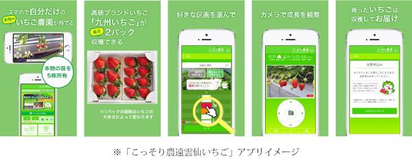 「こっそり農遠」がついに全国進出！！ 長崎県雲仙の大自然が生んだ土地で育った ブランドいちご「九州いちご」の区画オーナーになれる 『こっそり農遠雲仙いちご』iOS・Android版同時リリース！