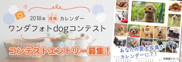 平成最後の“戌年”を飾るワンちゃんは？ あなたの愛犬がカレンダーに！ 愛犬ポータルサイト『ワンダホー』で 2018年度カレンダーフォトコンテストを開始！