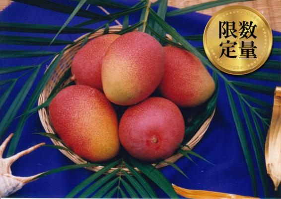 沖縄県東村（ひがしそん）「ふるさと納税」お礼品に『東村特産マンゴー園の完熟マンゴー約2kg（4～6玉）【2018年発送】』を新たに追加いたしました