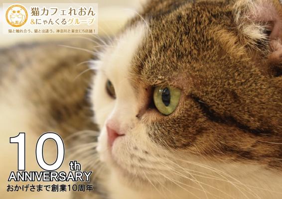 「猫カフェ れおんグループ」が創業10周年、5店舗で各種キャンペーンを開催中