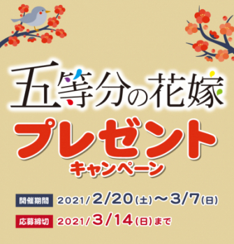 ドリームニュース