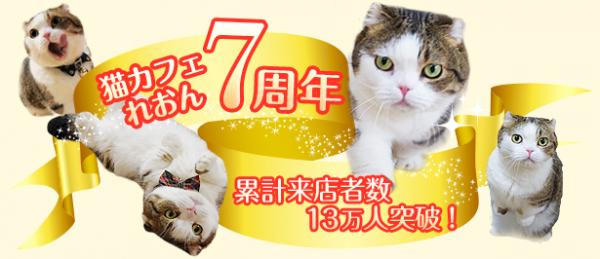 横浜の珍獣猫？！　ブサカワ猫の率いる猫カフェが７周年を記念したキャンペーンを開催！