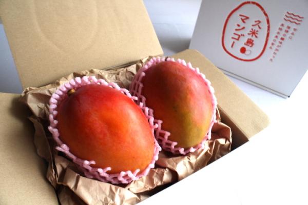 出荷開始！甘さはもちろん独特の酸味が特徴の”久米島マンゴー“が「久米島るしぇ」で販売開始。