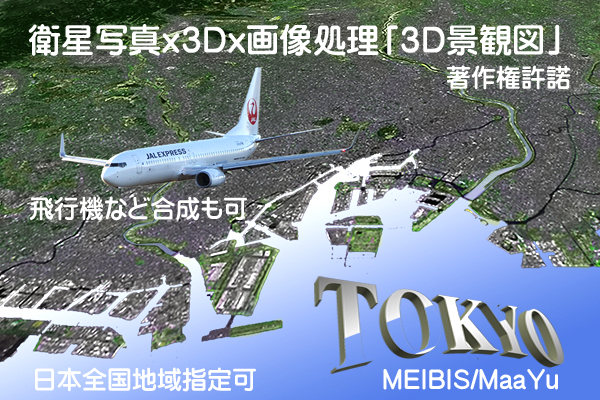 東京の衛星写真・航空写真から作成した３D景観図画像 電子納品　著作権許諾付き