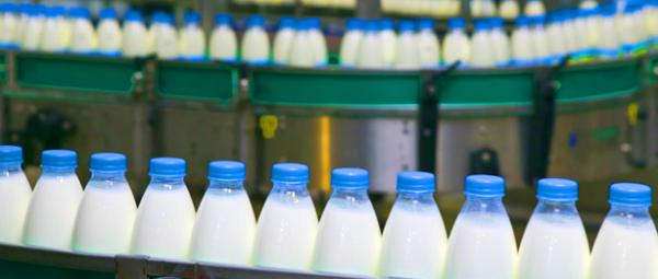 フランスの乳製品ブランド La Laiterie de Montaigu がInfor M3を採用
