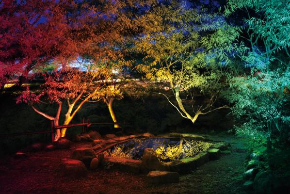 夜景評論家・丸々もとおプロデュース 雲仙市三十路苑「光の極彩庭園ライトアップ」開催！