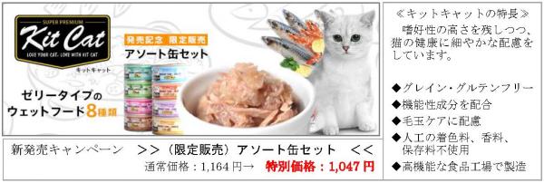 日本初上陸！猫専門プレミアムフードの新興ブランド キットキャット社、「ｔａｍａ（たまのおねだり）」で先行販売開始 －タイの先進的な工場で生まれたプレミアムキャットフードを是非お試し下さい－