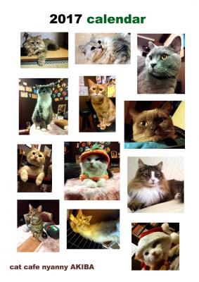 あなたが，猫カフェに思っている事を教えて下さい。 アンケートに答えた人の中から抽選で10名様に、 秋葉原の猫カフェnyannyカレンダー2017が当たる!