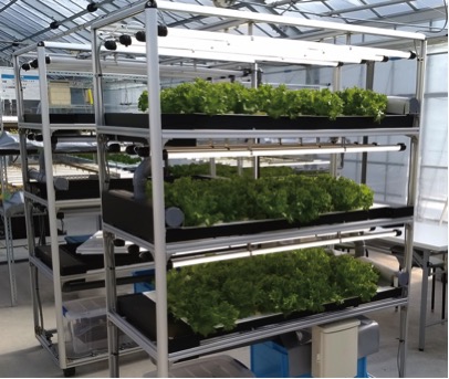 セプトアグリ、100万円でスタートできる簡易植物工場「EZ水耕ファクトリー」を販売開始