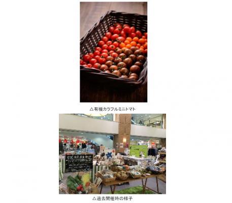 有機野菜の「ビオ・マルシェの宅配」、「京阪シティモール」でオーガニック・ナチュラルマルシェを開催