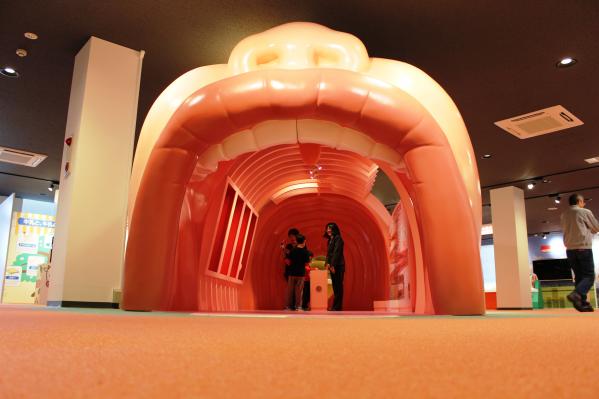 〝食の安全〟と〝食育・たべるたいせつ〟がテーマの大阪いずみ市民生協の体験型施設「たべる＊たいせつミュージアム」の１年間の来館者数は１８,１１７人となりました。（2017年5月8日発表）