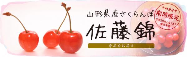 さくらんぼの王様「佐藤錦」予約販売開始 のお知らせ むらせライスの公式通販： 米こころ
