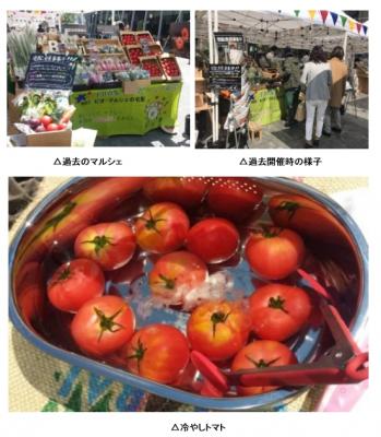 有機野菜の「ビオ・マルシェの宅配」、「グランフロント大阪うめきた広場」が市場になる「Umekiki Marche　-　ウメキキ　マルシェ -」に出店