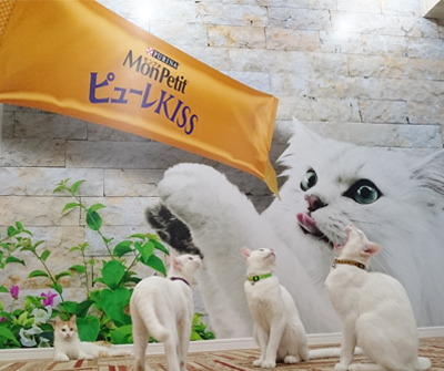 横浜の老舗猫カフェが「モンプチカフェ」一号店としてリニューアルオープン、合言葉で「モンプチ ピューレ KISS」を先着プレゼント！