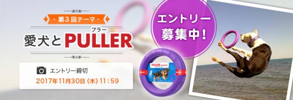 アニマルピック2020で正式種目に採用！ 欧米で大人気のPULLER（プラー）が 日本で初のフォトコンテストを開催