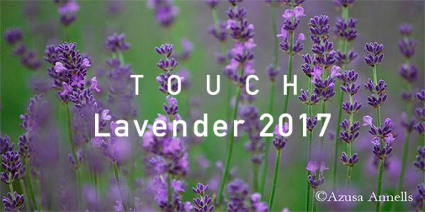 摘みたてラベンダーの香りで、夏疲れしたカラダとココロをリラックス。『 TOUCH Lavenderフェア & アロマワークショップ 』2017年9月7日（木）より開始