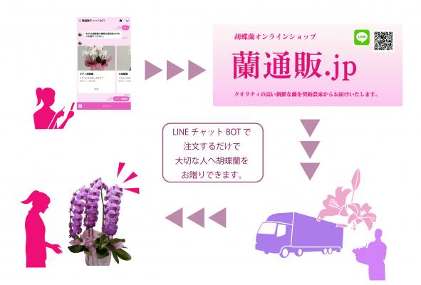 業界初！大切な人に贈る胡蝶蘭もLINEアプリで手配の時代！ LINEチャットBOTで胡蝶蘭を注文できる新サービスを蘭通販.jpが開始いたしました！