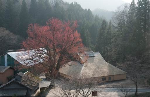 ”タタラ場”を歩いて日本遺産の魅力を体感！「菅谷たたら山内観光ウォーキング」
