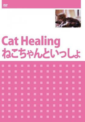 DVD『Cat Healing　ねこちゃんといっしょ』が、Amazon DOD（ディスク・オン・デマンド）で発売!!
