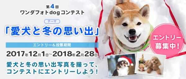 平成最後の戌年を盛り上げる！ 日本中の愛犬家が今注目するフォトコンテスト 今回のテーマは『愛犬と冬の思い出』