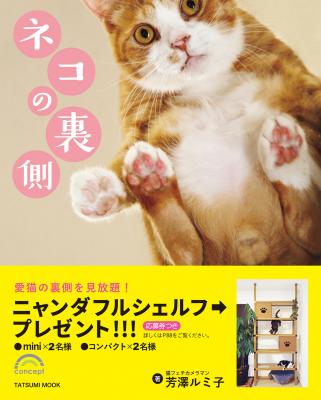ネコを透明ボードの下から覗き見?猫フェチカメラマン・芳澤ルミ子 最新写真集『ネコの裏側』12月8日発売！定価　本体1,000円+税