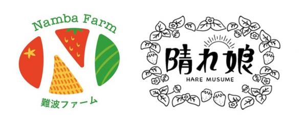 岡山県の高級ブランドいちご『晴れ娘』を生産する 難波ファームとファインシードが共同で新会社設立 農業の情報化を支援し、『晴れ娘』を日本一のいちごブランドへ
