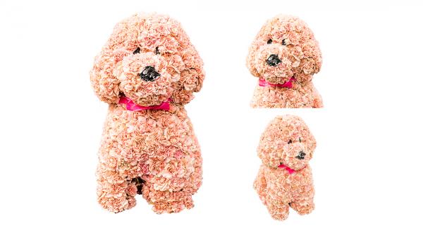 犬好きな人の為のお花屋さん 【＆HANA（あんどはな）】公式オンラインショップオープンキャンペーン ～生花でできた“等身大フラワードッグ”がイベントに登場～