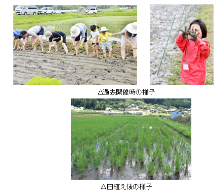 有機野菜の「ビオ・マルシェの宅配」、「大阪・能勢リサーチファームで田植え体験イベント」を開催