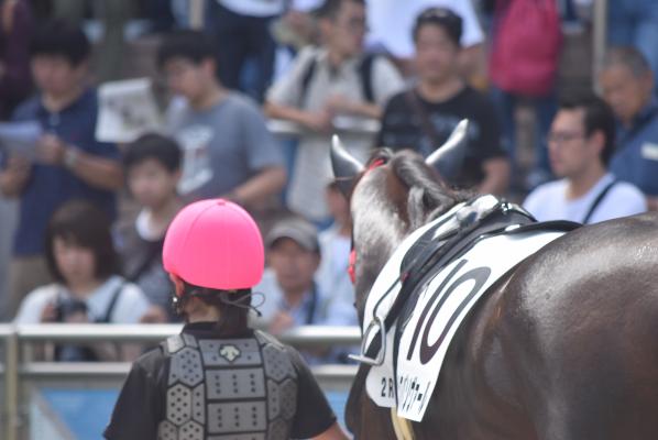 未経験から在学中にＪＲＡ（日本中央競馬会）の厩務員を目指せる「馬の学校 東関東馬事専門学院（通称：バジガク）」が、平成３１年４月生の最終募集を受け付け開始しました。５年間で３０名の厩務員輩出を目指す。