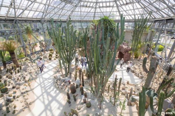 そら植物園（株）代表 西畠清順が、ときわミュージアムの音声ガイドに起用されました。