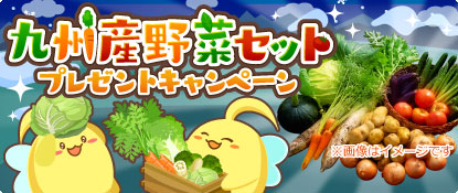 【ハッピーベジフル】『冬の九州野菜セット』プレゼントキャンペーン開催！