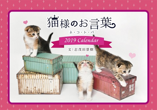 志茂田景樹氏の心に響く名言×かわいい子猫写真集の卓上カレンダー『猫様のお言葉 ネ・コ・ト・バ2019』は、今年もお洒落な猫好きさんにぴったりな大人可愛いデザインで販売スタート！