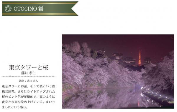 「東京タワーと桜」OTOGINO賞受賞！ 千代田観光協会主催－第三回東京大回廊写真コンテスト-