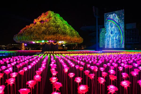 2万本を超える光の薔薇と２つの巨大プロジェクションマッピングも登場！関東最大級イルミネーションイベント「TOKYO MEGA ILLUMINATION」（大井競馬場）がリニューアル公開！