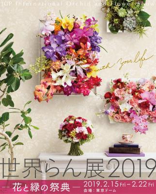 西畠清順（そら植物園 代表）がプロデュース！ 「世界らん展2019 -花と緑の祭典-」イベントの象徴となるシンボルロード & モニュメント。 2月15日（金）14時から行われるトークショーにも登壇！