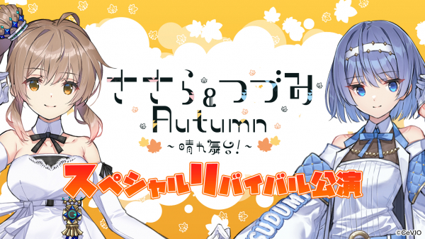 ?action image=1&p=0000293990&id=bodyimage1