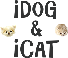 Idog Icat インテリア性の高いナチュラルキュートな猫用トイレ 切り株の猫トイレット 新発売 株式会社ゼフィール プレスリリース配信代行サービス ドリームニュース