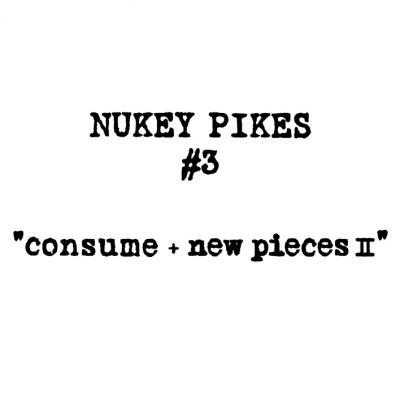伝説的ハードコア・バンドNUKEY PIKES（ニューキーパイクス）6タイトル 