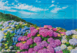 いきいきパズル２０ピース 竜飛崎に咲く紫陽花（青森）