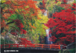 いきいきパズル６０ピース 紅に染まる箕面滝（大阪）