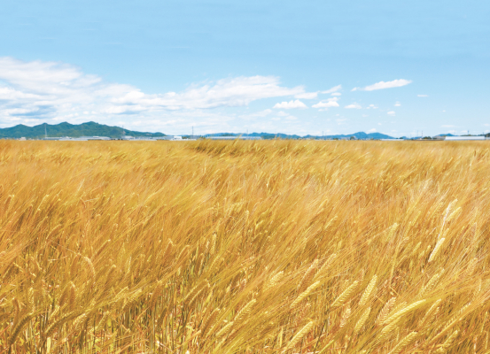 【大麦工房ロア】地元の大麦を食べて生活習慣病にさようなら！『おおむぎ健康講座』を6月14日と6月28日に開催！