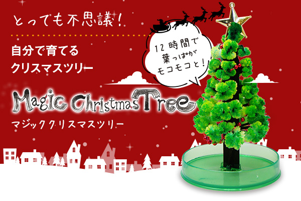 郵便局にて、12時間で育つ不思議なクリスマスツリー 『マジッククリスマスツリー』販売キャンペーン開催中