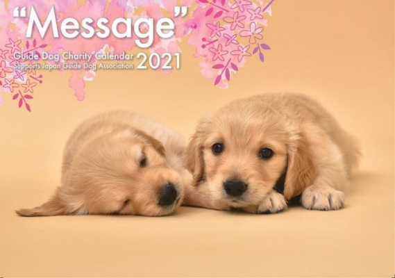 盲導犬育成支援チャリティーカレンダー“Message”2021 11月2日より販売開始