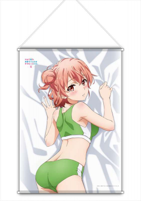 エムズファクトリーより 俺ガイル 完 描き下ろし B2タペストリー 全3種 が新発売 Animo アニモ にて1月日より予約販売開始 マピオンニュースの注目トピック