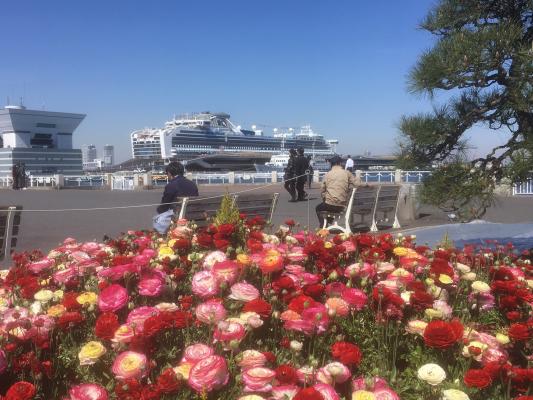 60万本の花が咲き誇る！横浜市全域が花と緑にあふれる 「ガーデンネックレス横浜2019」今週開幕！ ～開催期間：2019 年3 月23 日（土）～6 月2 日（日）～