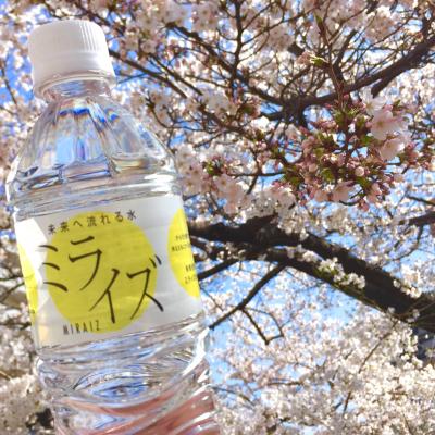桜満開の芦屋浜を舞台に、「2019ユニセフカップ芦屋さくらファンラン」を『ミライズ』が応援！