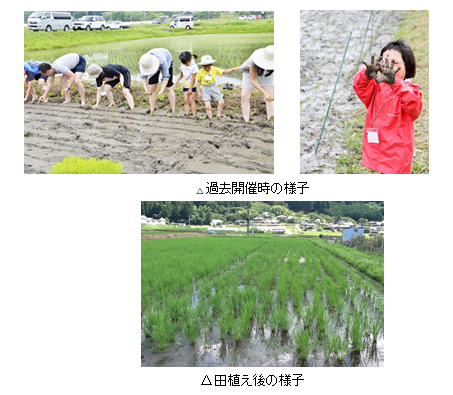 有機野菜の「ビオ・マルシェの宅配」、6月9日（日）、「田植え体験in大阪・能勢」を開催
